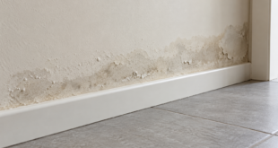 Alone di umidità e pittura sfogliata sulla fascia di muro sopra un battiscopa bianco